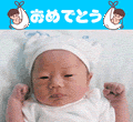 �Ԃ����̎ʐ^��ǂݍ��ݒ��ł����
