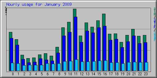 Hourly usage for January 2009