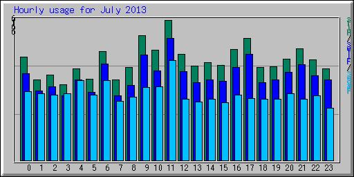 Hourly usage for July 2013