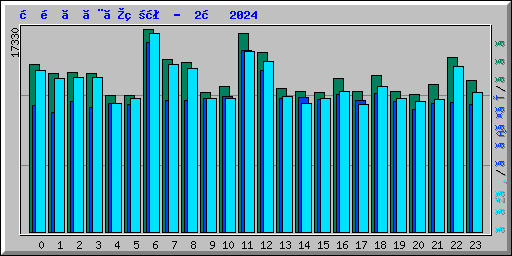 時間ごとの状況 -  2月 2024